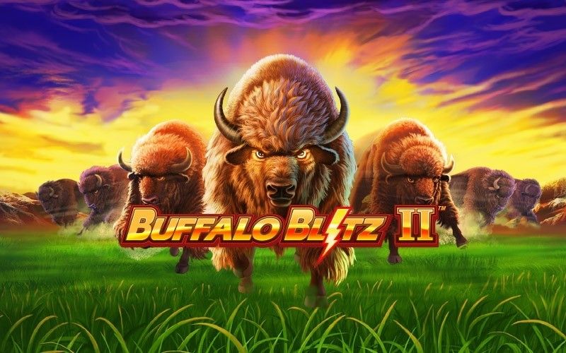 Buffalo Blitz II